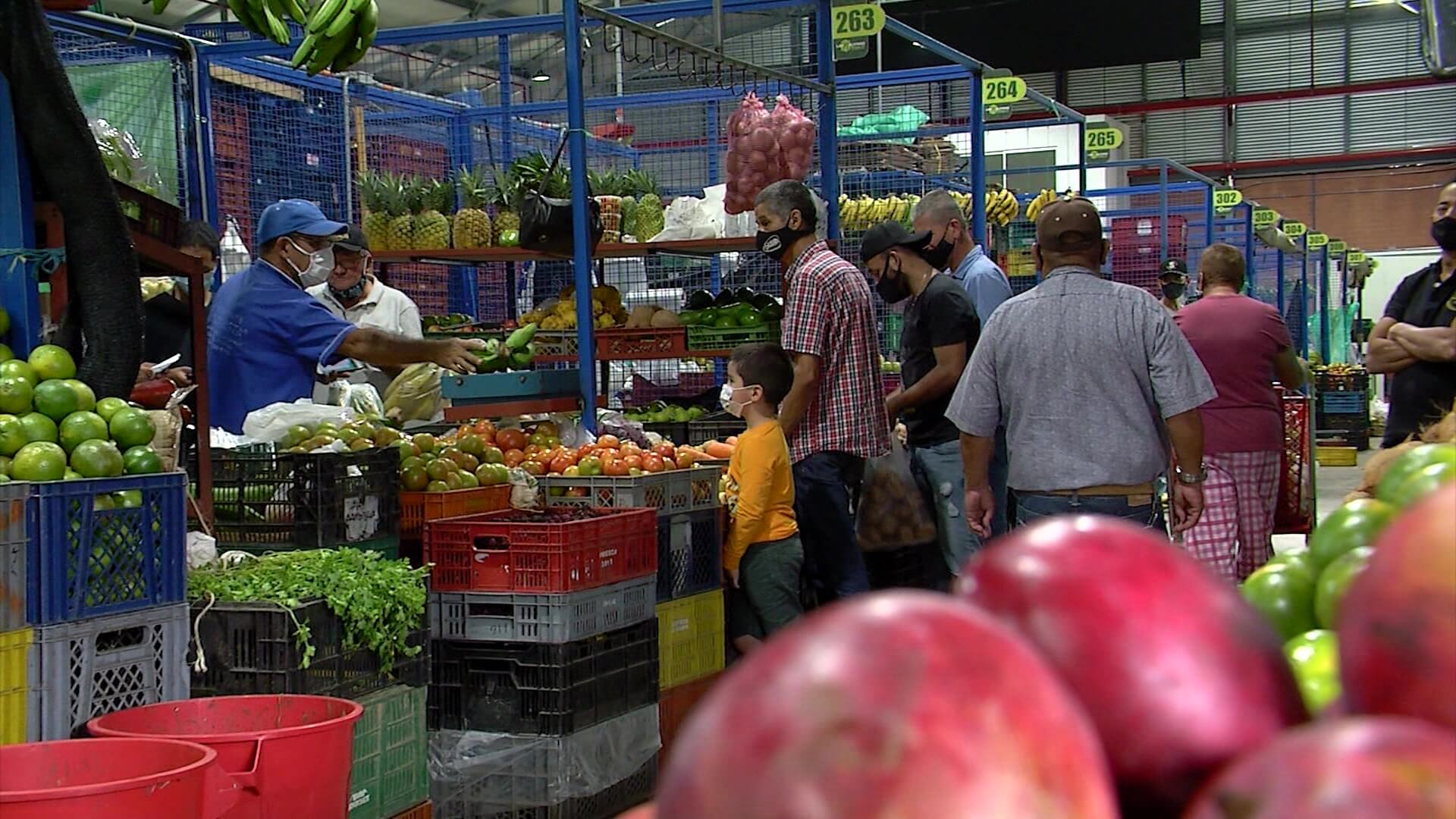 En doce meses habría crisis alimentaria en Antioquia