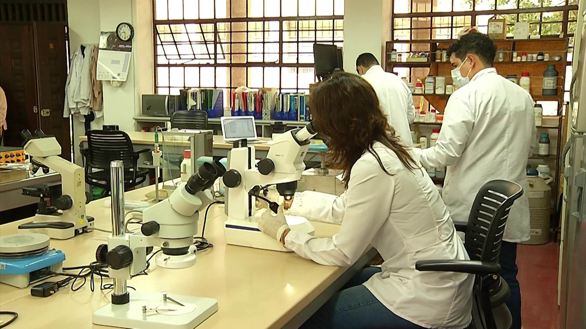 Investigan incidencia de las bacterias en el estrés