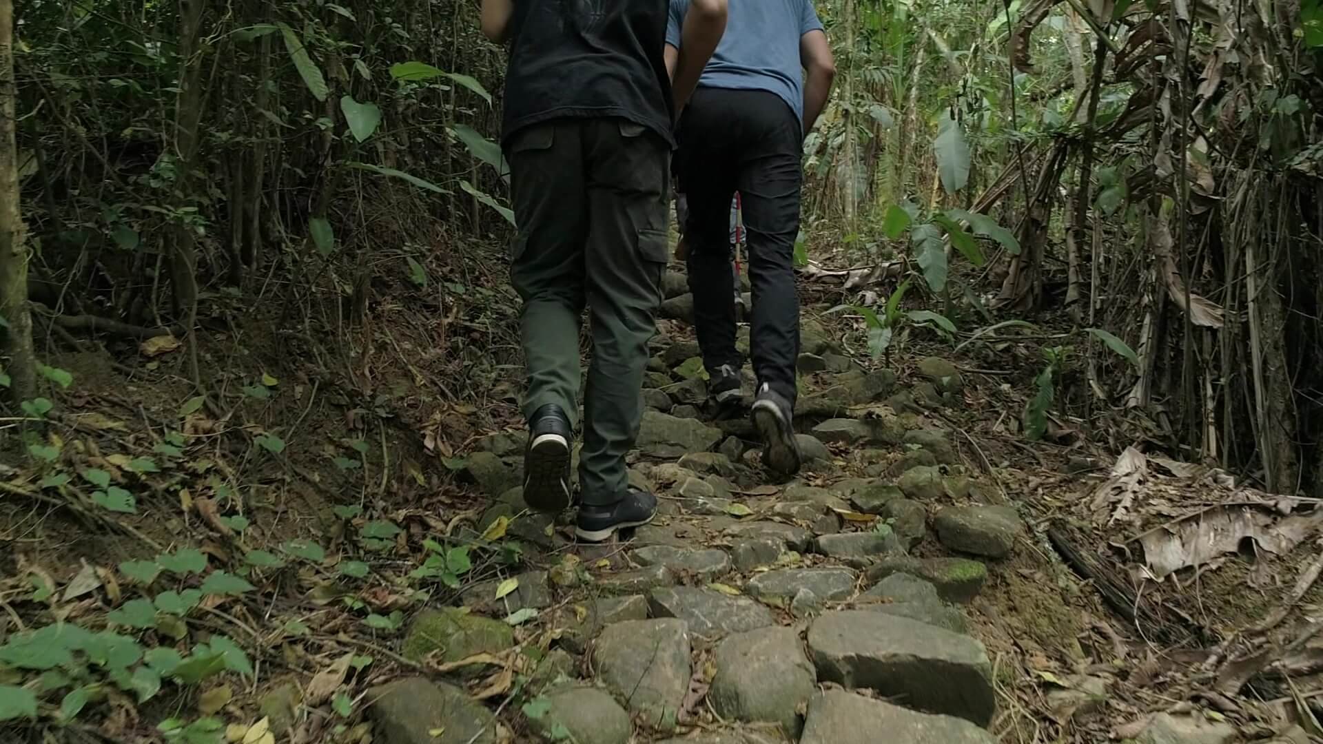 Investigan robo masivo en sendero natural de San Cristóbal