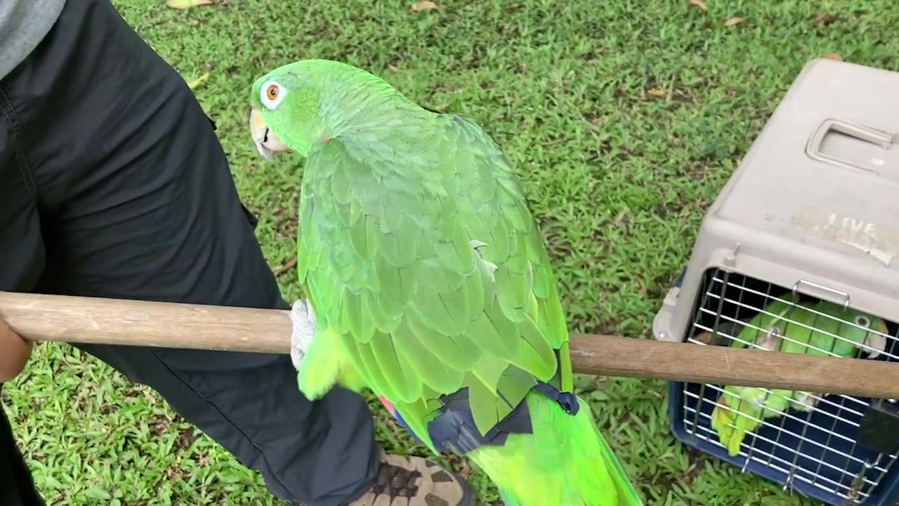 Otras dos veredas libres de fauna silvestre en cautiverio