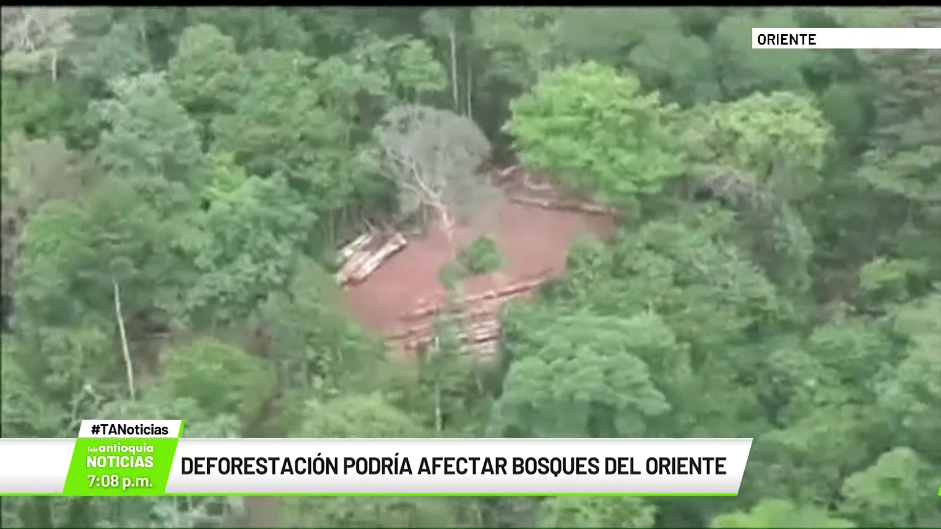 Deforestación podría afectar bosques del Oriente