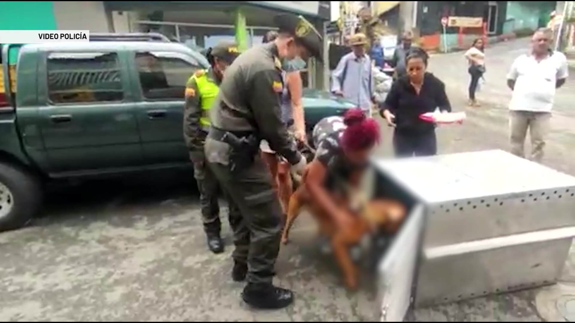 Capturan a dos hombres por maltrato animal