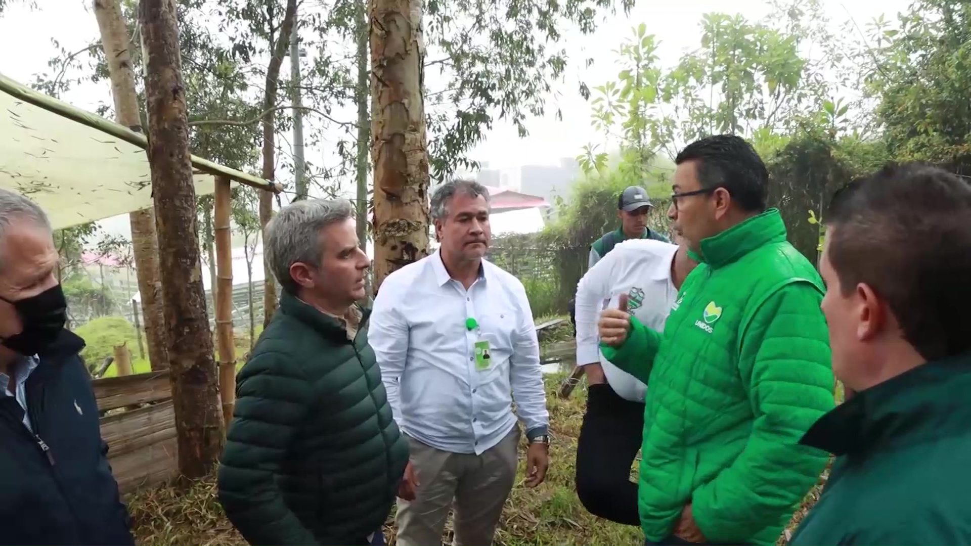 Antioquia lidera siembra de árboles en Colombia