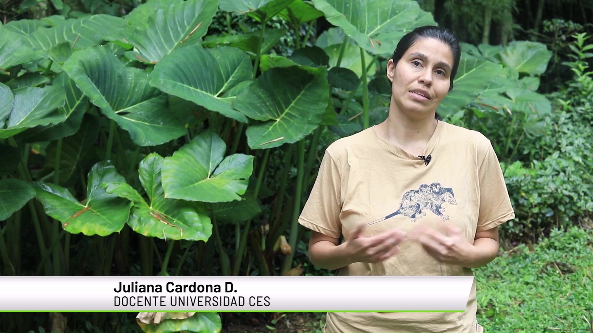 Exposición resalta al ‘ser más importante del planeta’