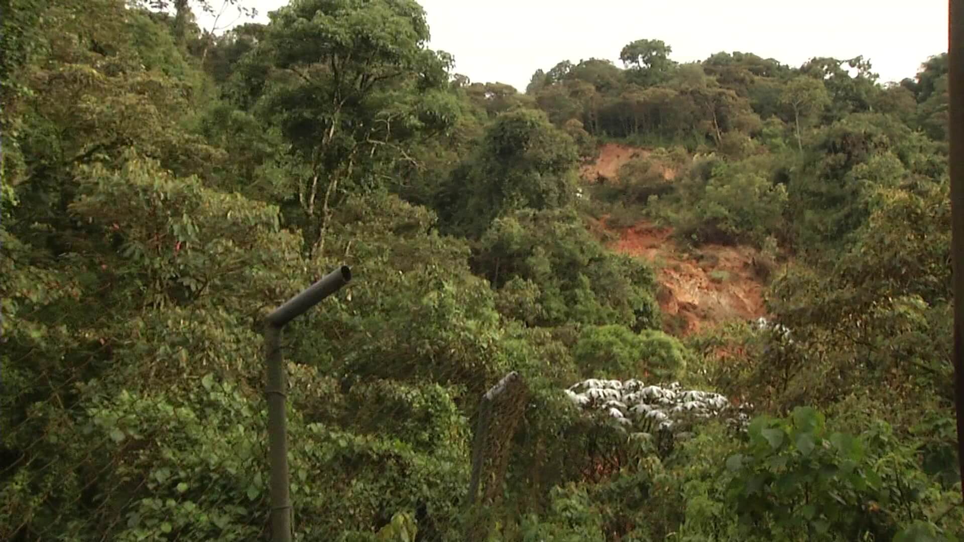 Cinco puntos críticos en San Cristóbal