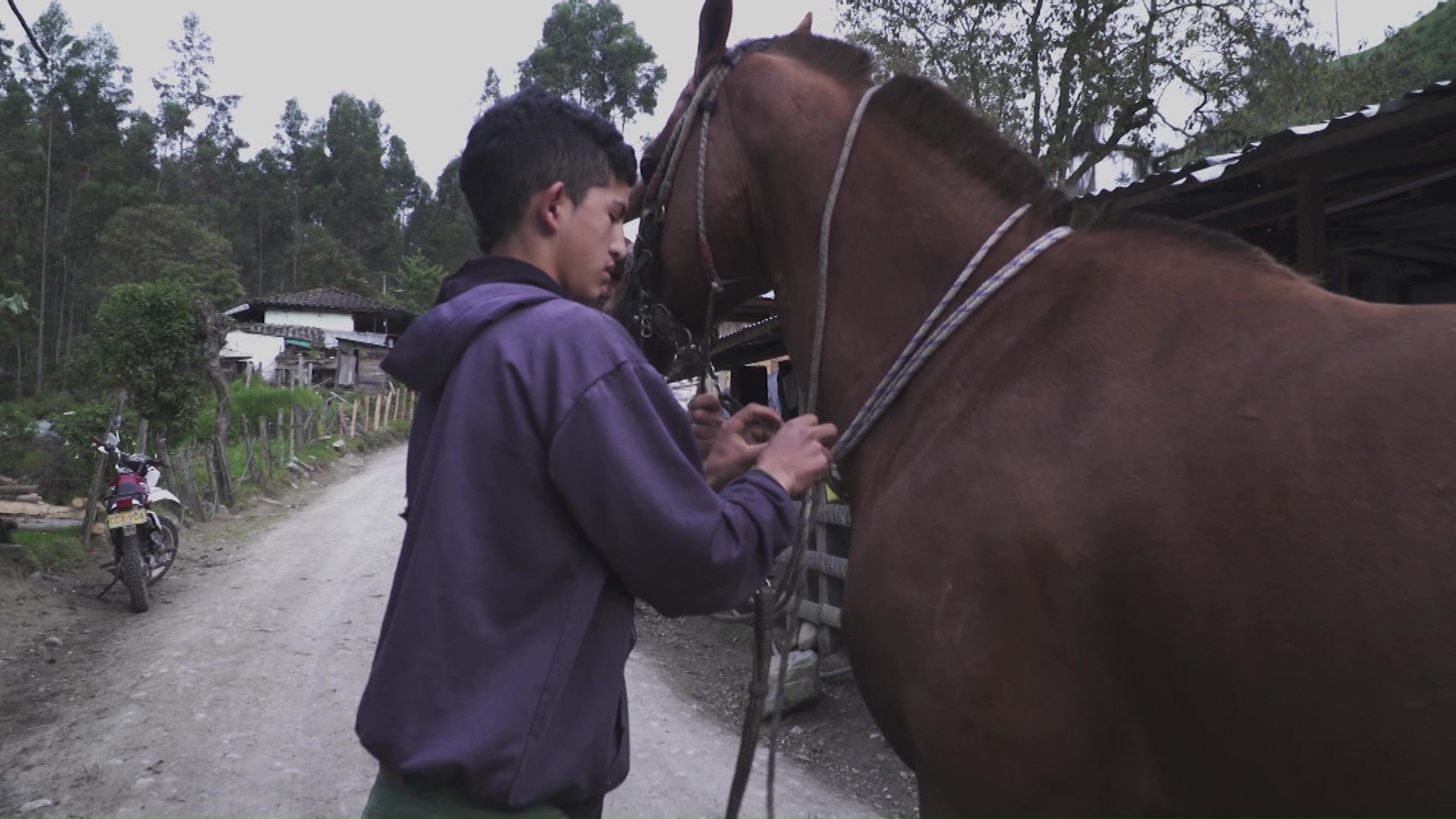 “Los García”, estreno en Teleantioquia