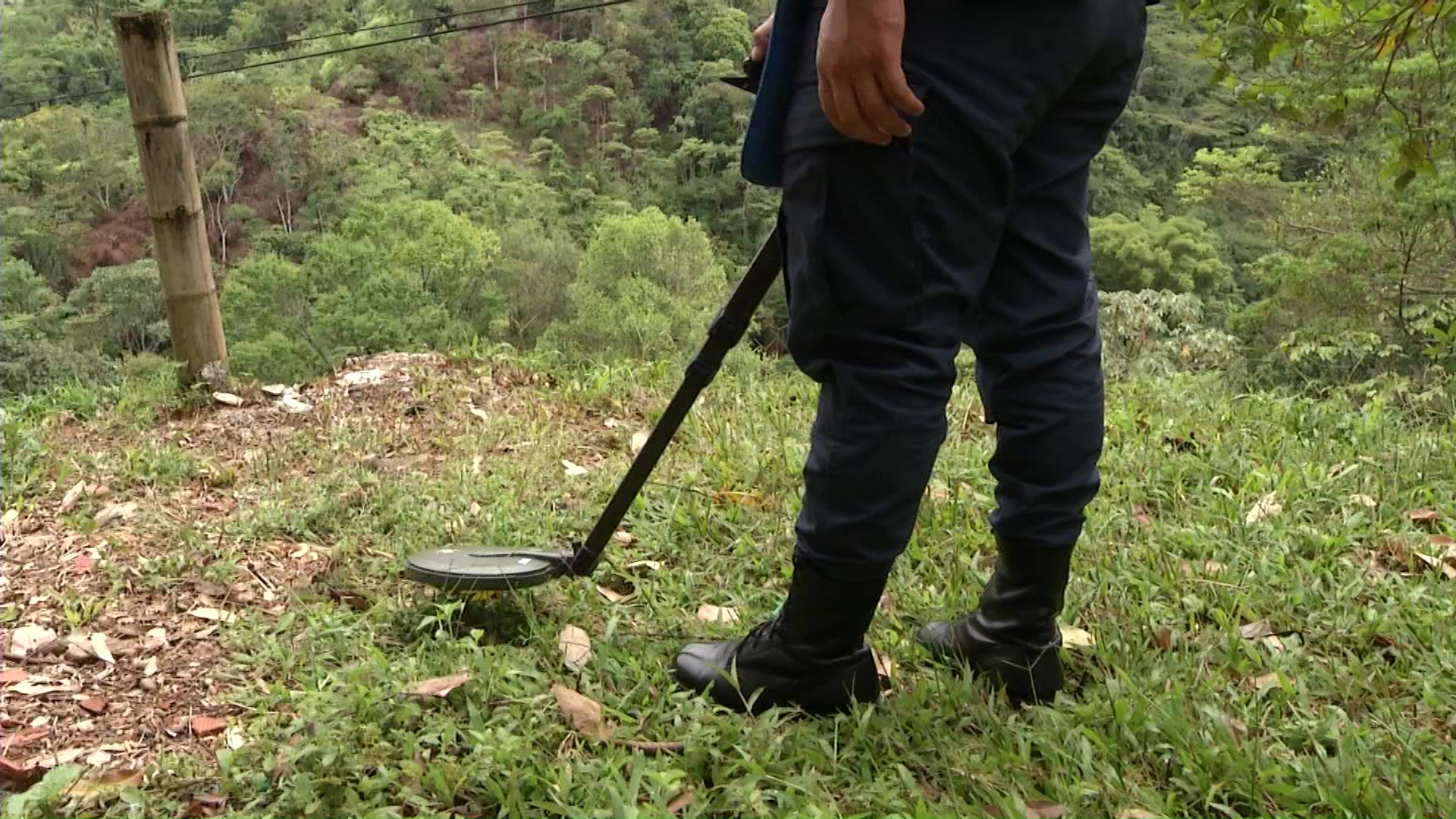 88 Municipios de Antioquia libres de minas antipersonal