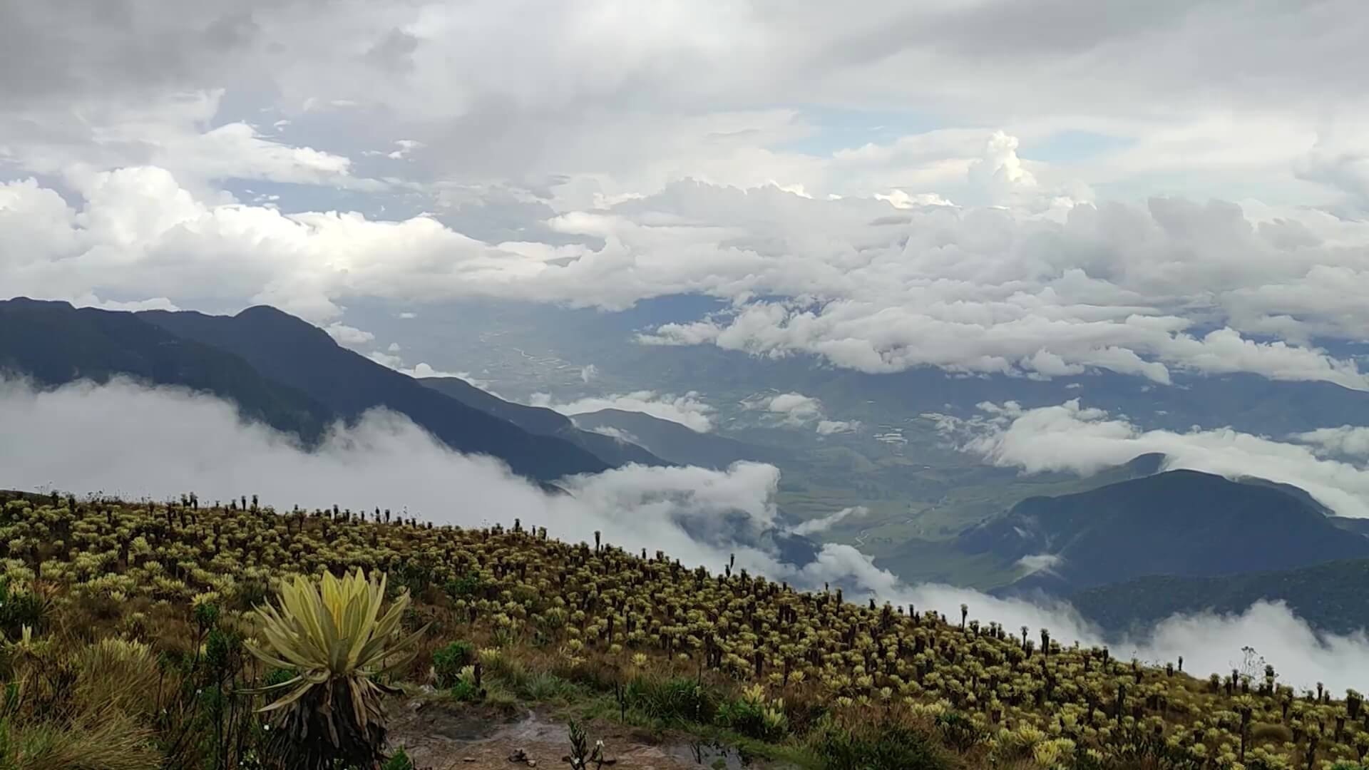 Cierran acceso al Páramo del Sol