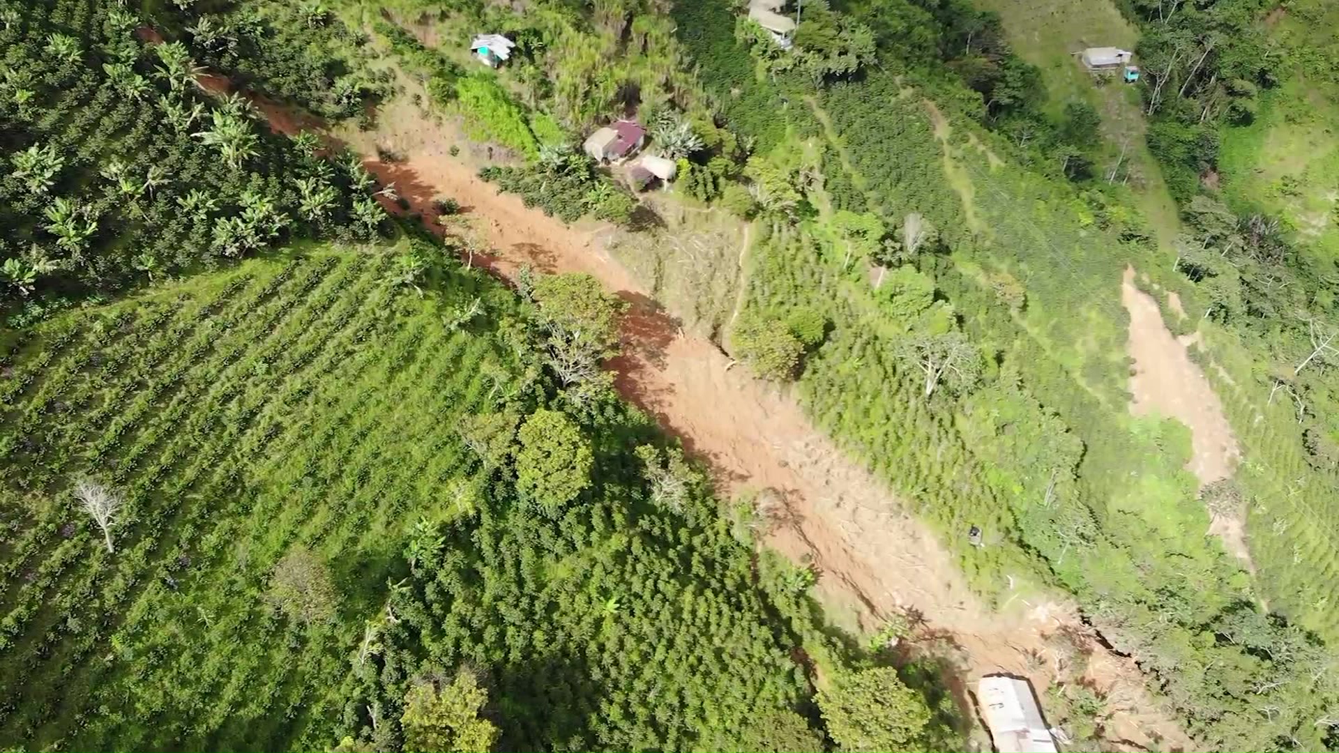 Lluvias afectan 80 % del municipio de Betulia