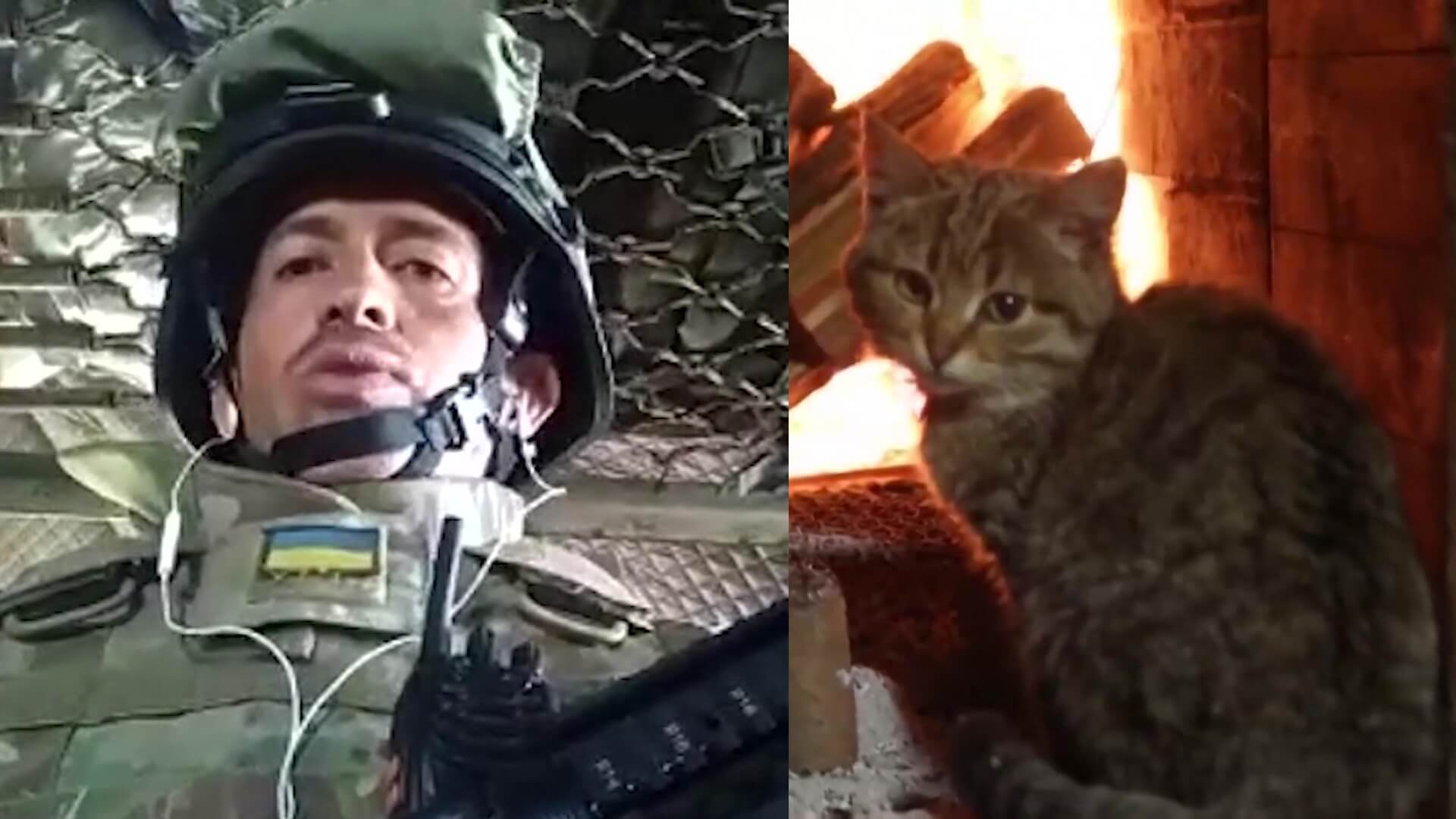 Colombiano rescata animales en Ucrania