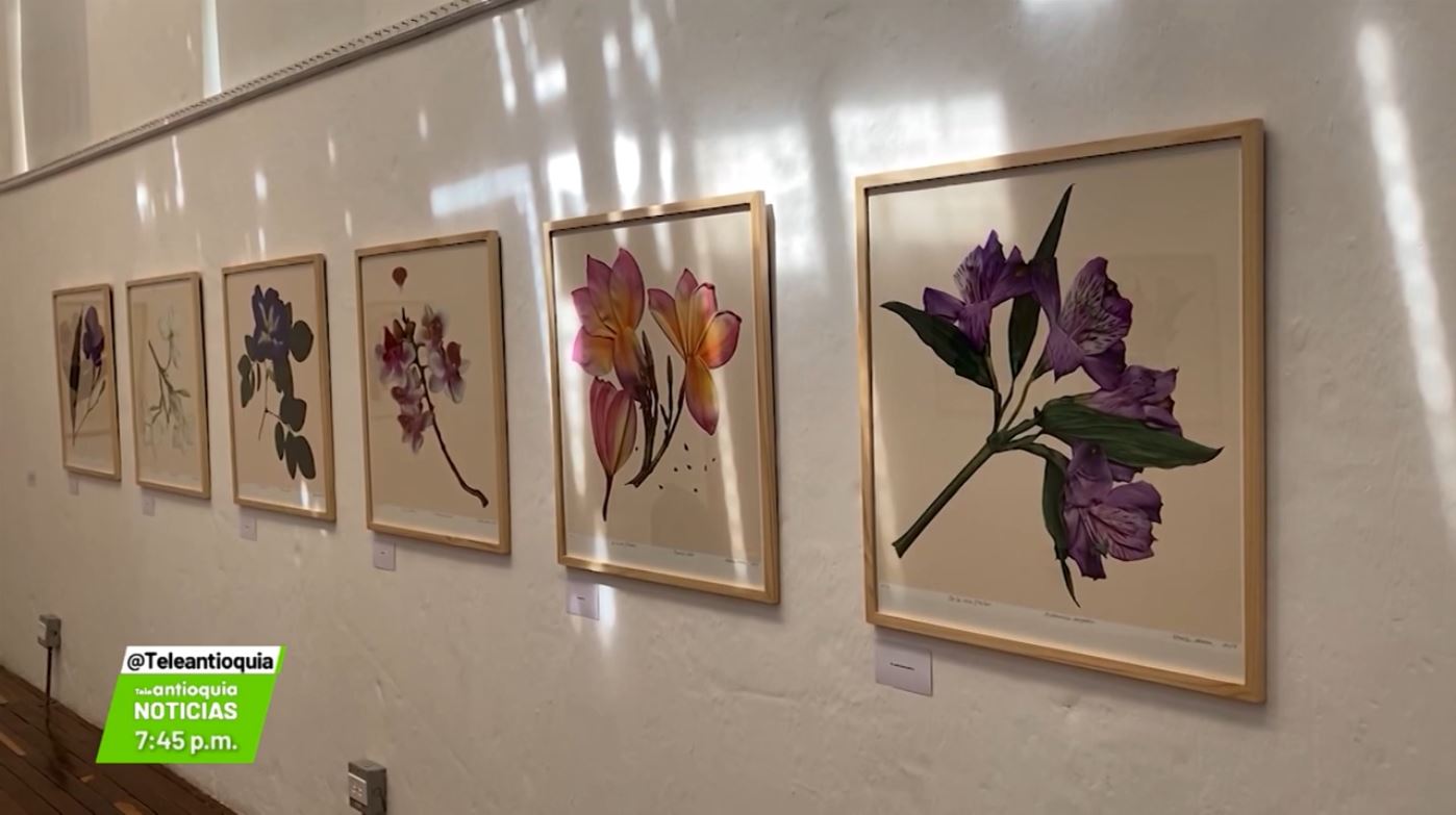 Exposición de flores en el Museo Maja