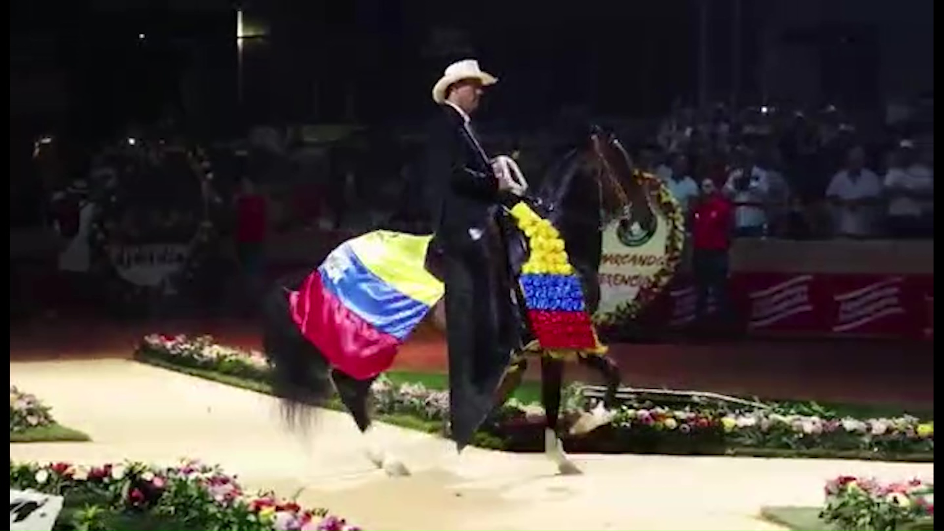 Exposición equina en Feria de las Flores