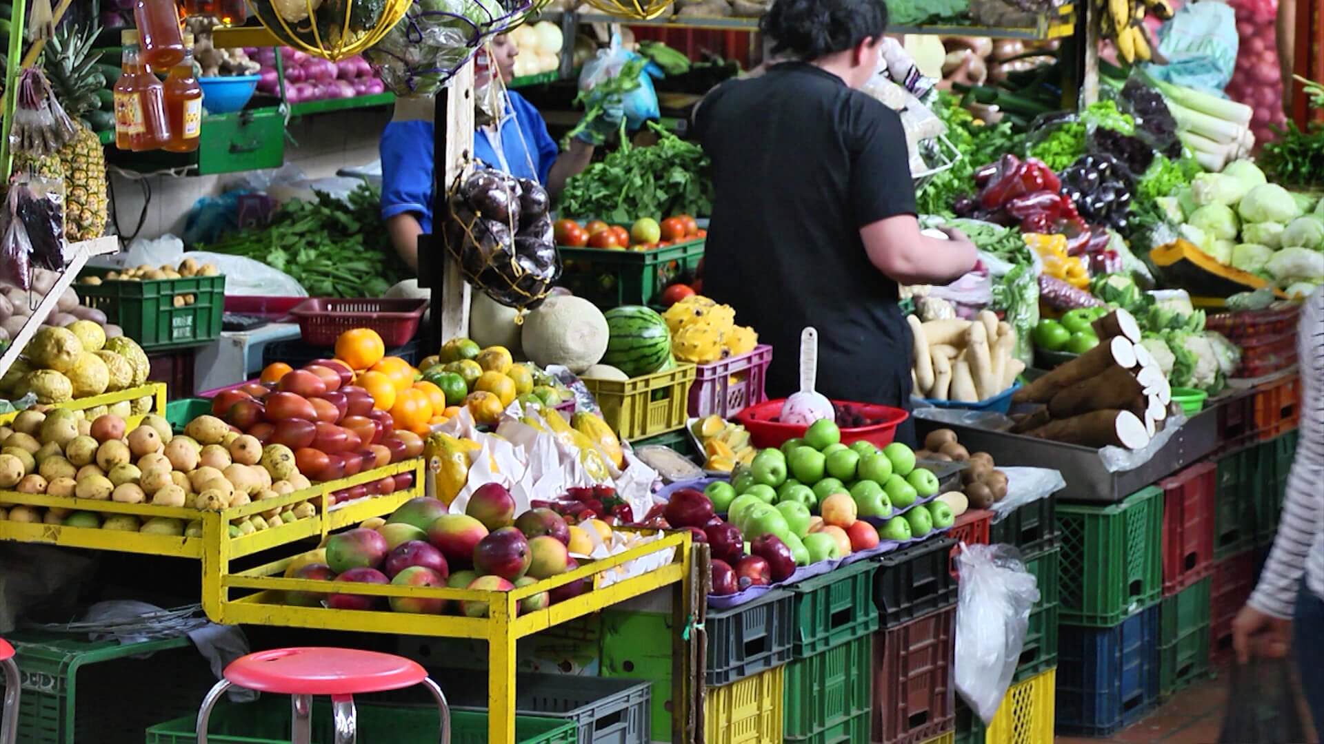 Alimentos nutritivos, básicos para la salud