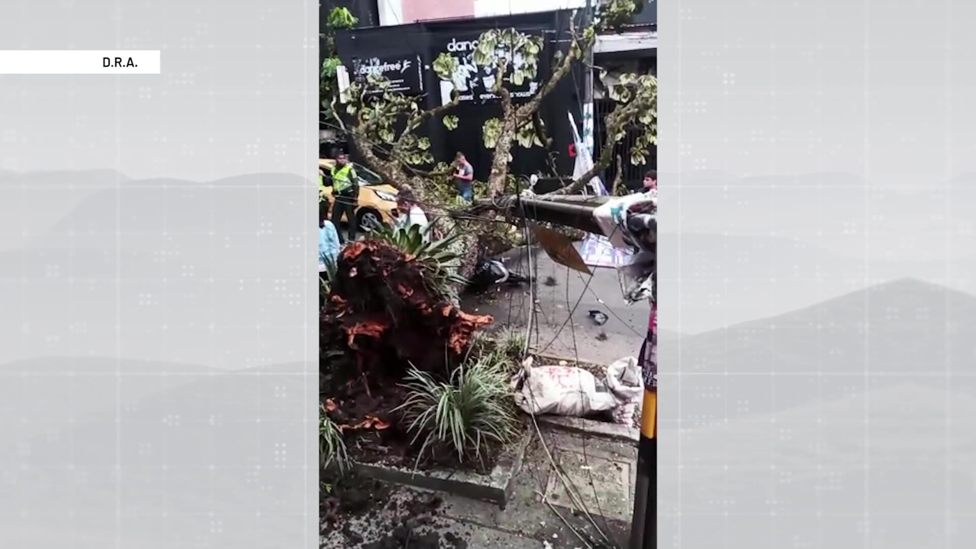 Árbol se desplomó sobre un motociclista