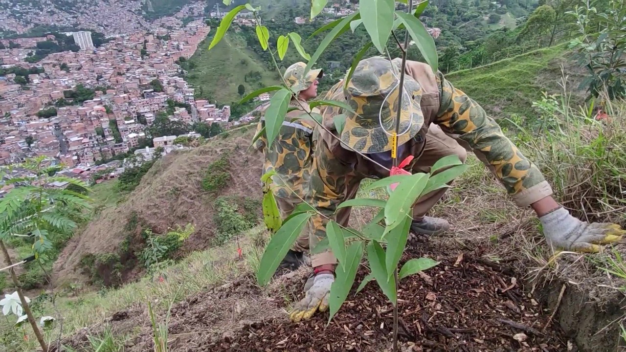 Compensación por obras en Carabobo Norte