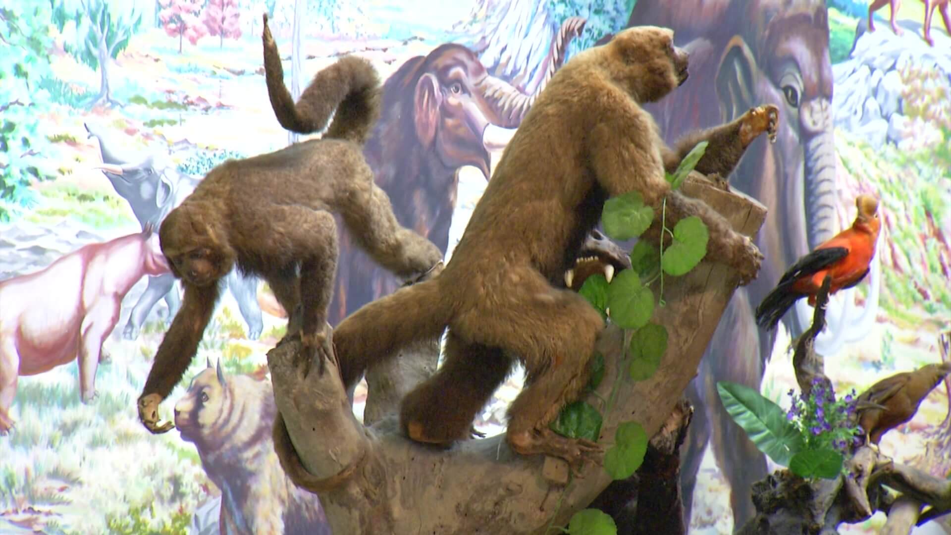 80 años de la colección de ciencias U.de A.