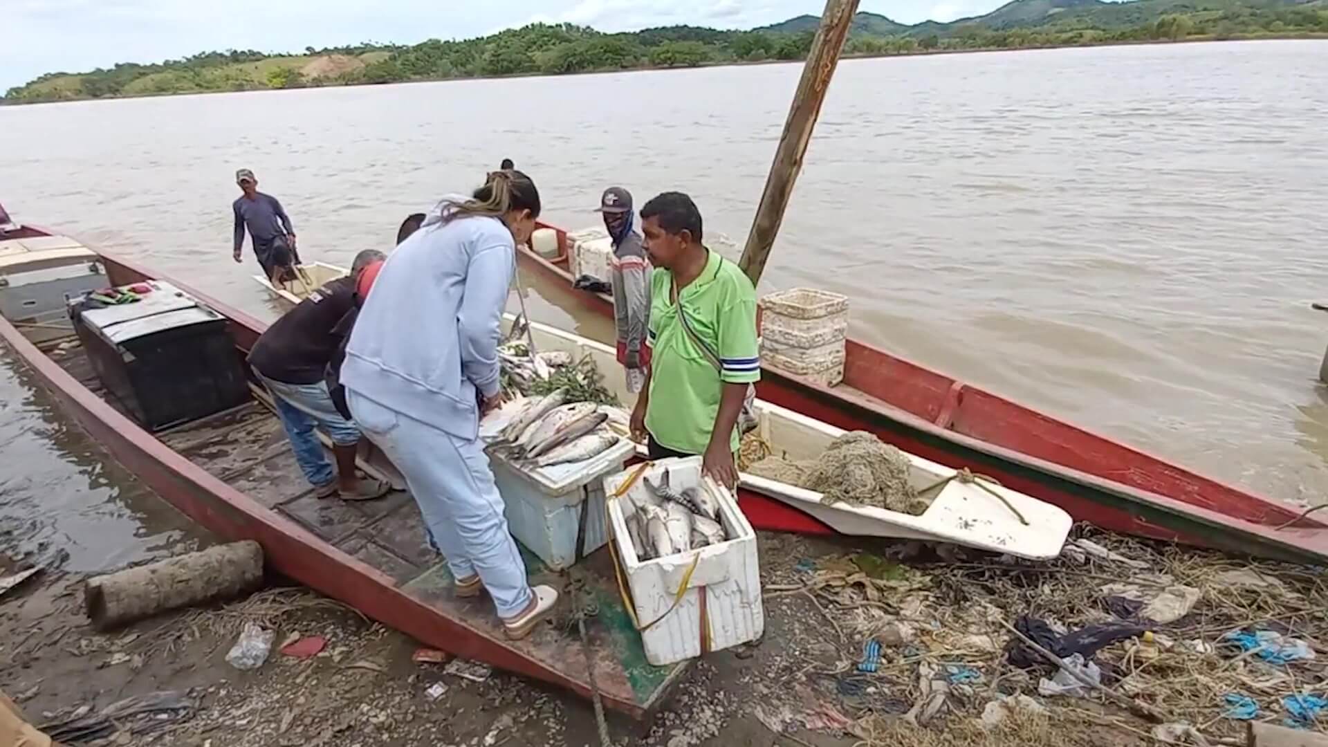 Felicidad por subienda de bocachico