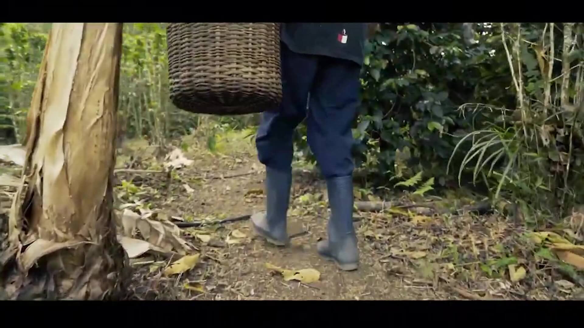 Festival de Cine Corto, iniciativa de jóvenes paisas