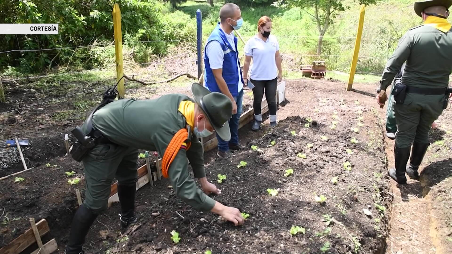 Plan policial para mejorar la seguridad rural