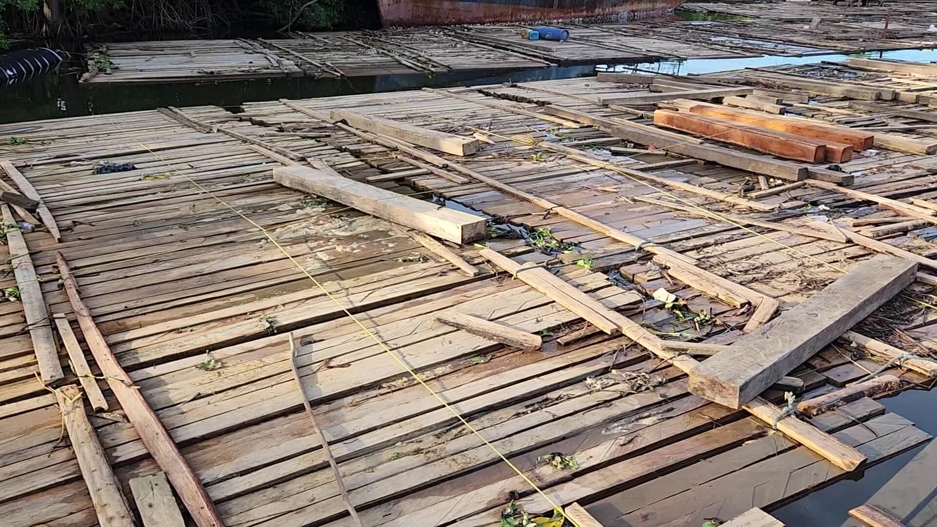 Incautados 215 metros cúbicos de madera en Urabá