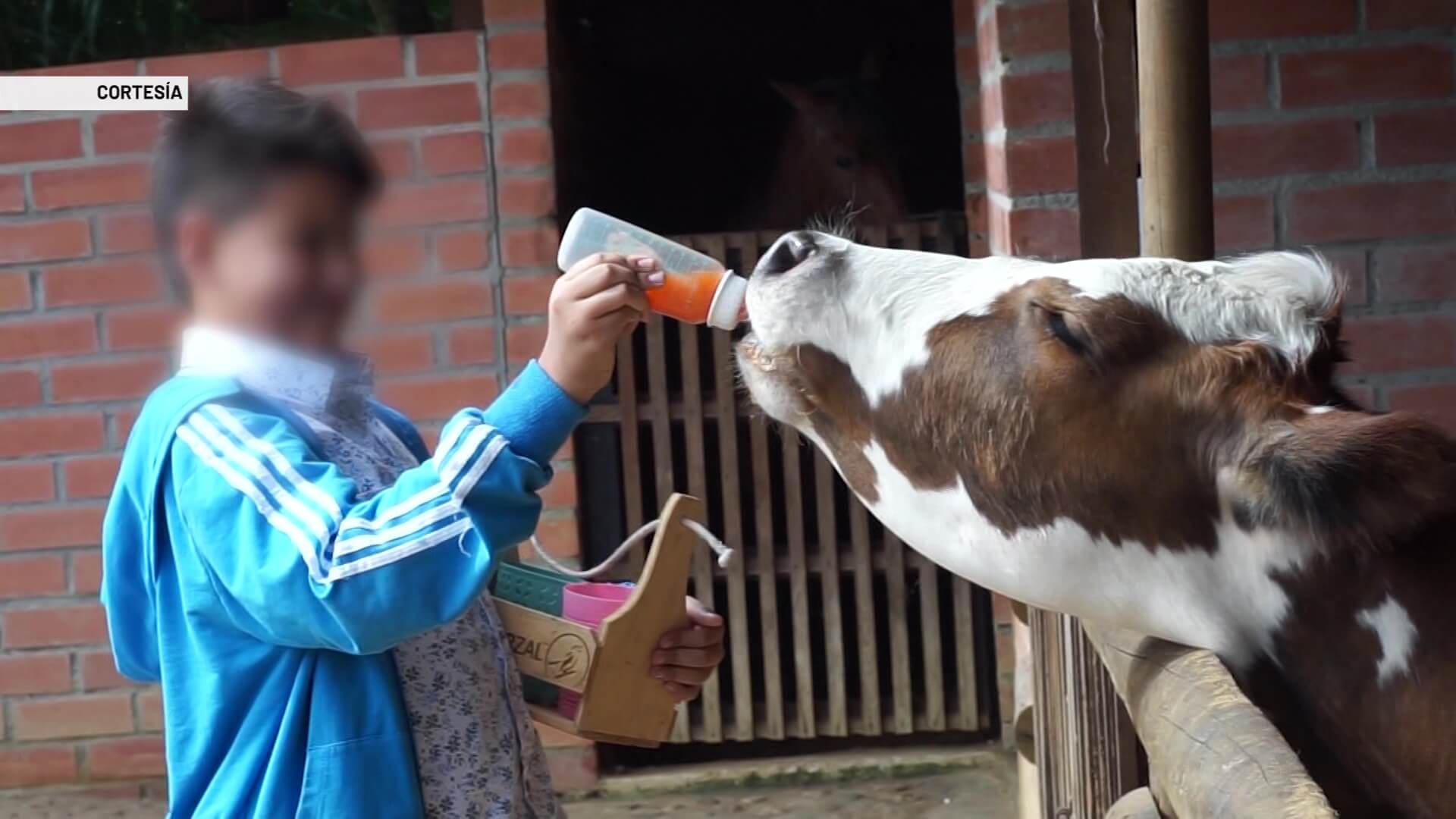 Niños con cáncer celebran Navidad