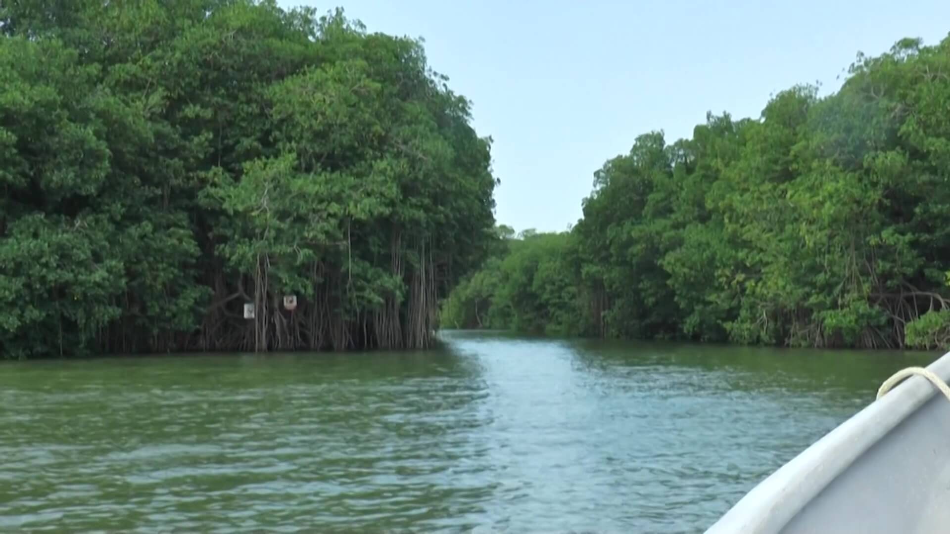 Puerto Pisisí recibió el aval para su construcción