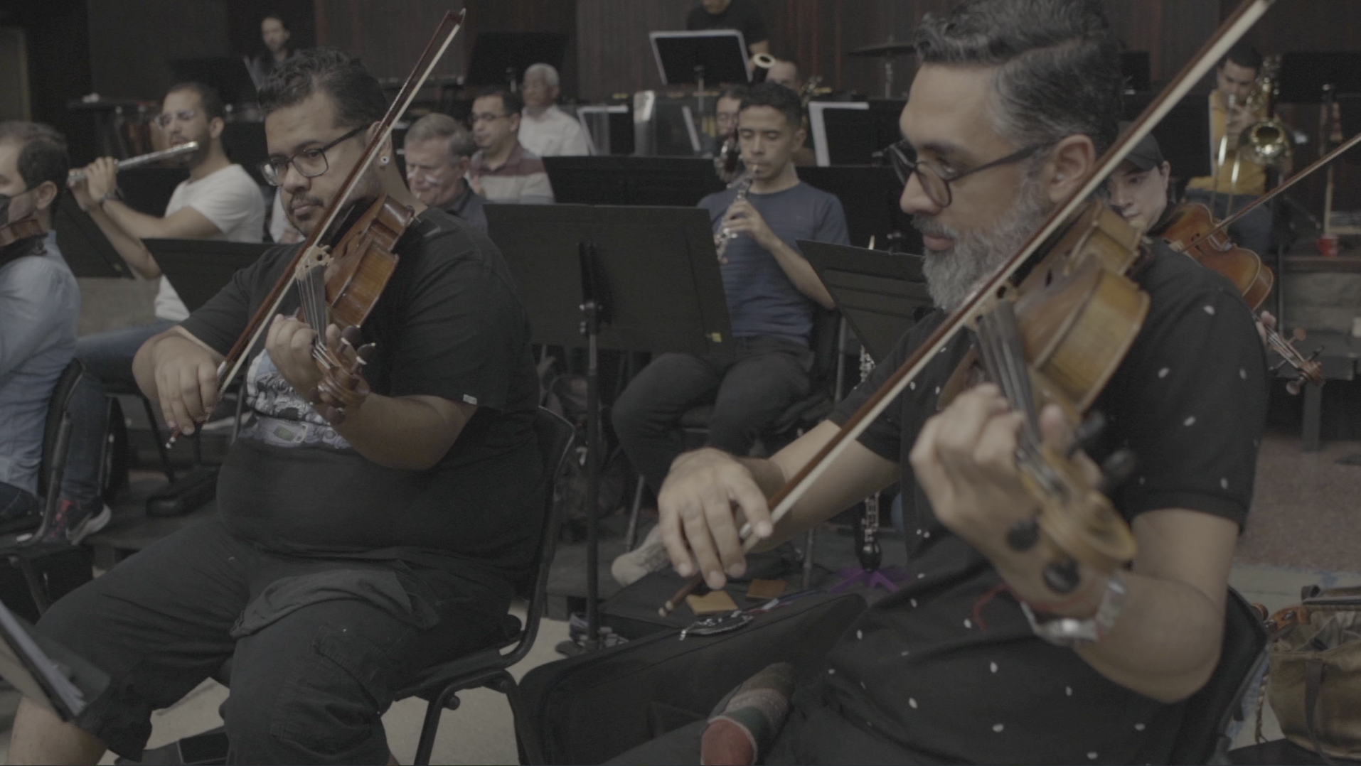 Serenata Sinfónica, Concierto al Origen