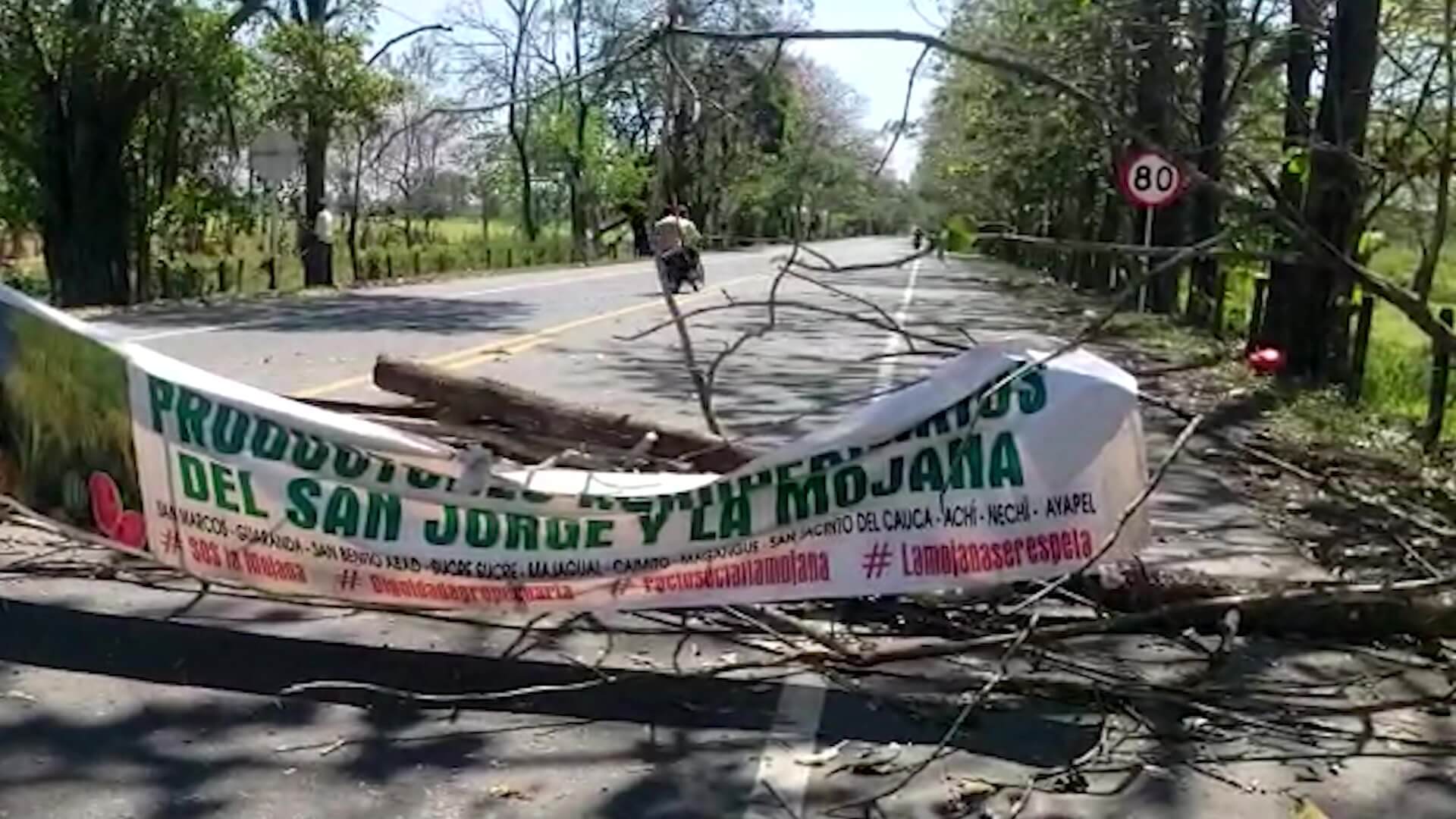 Bloqueos en Córdoba: maíz, el más afectado