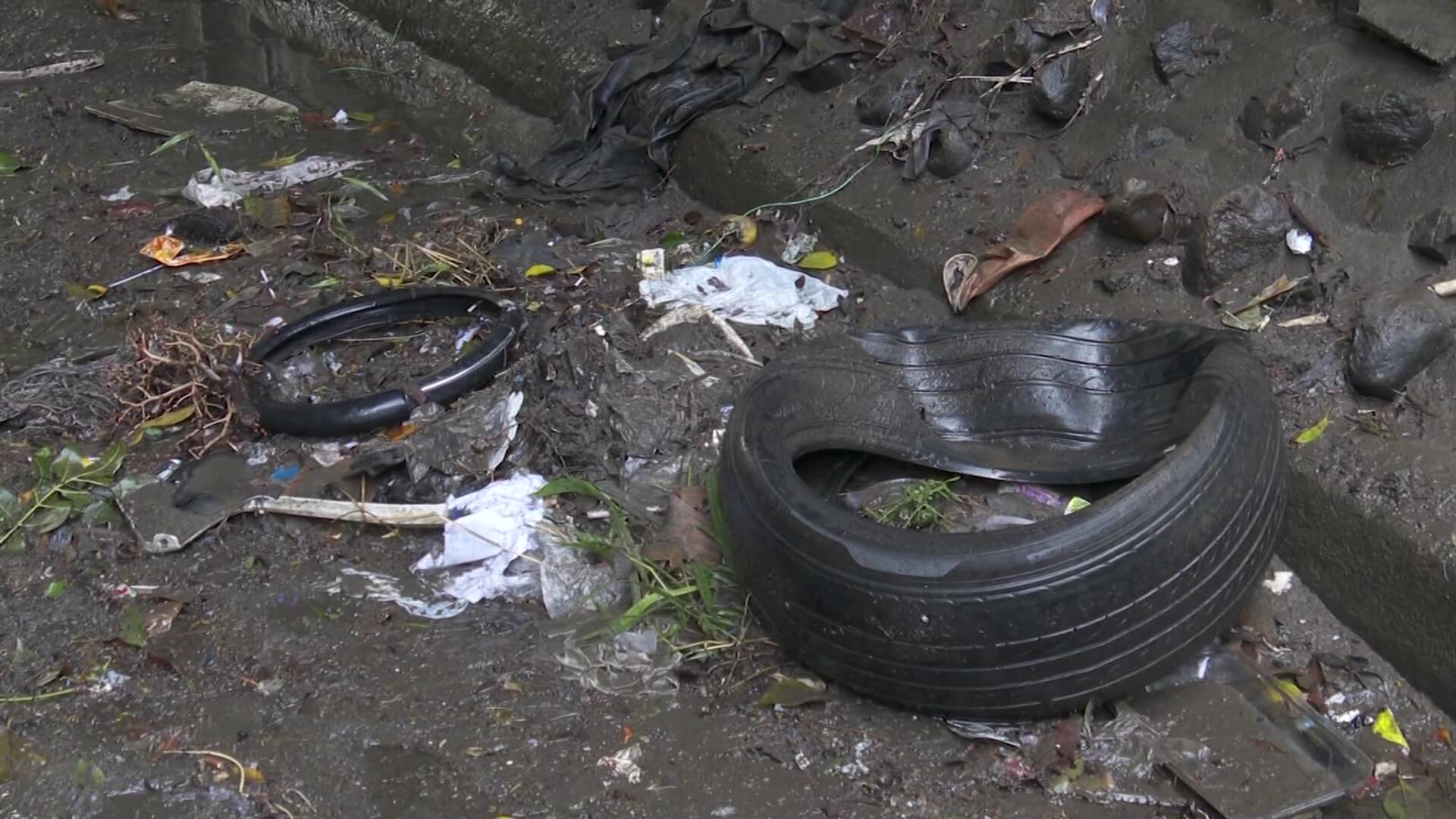 Gran cantidad de basura en el deprimido ‘Los Músicos´