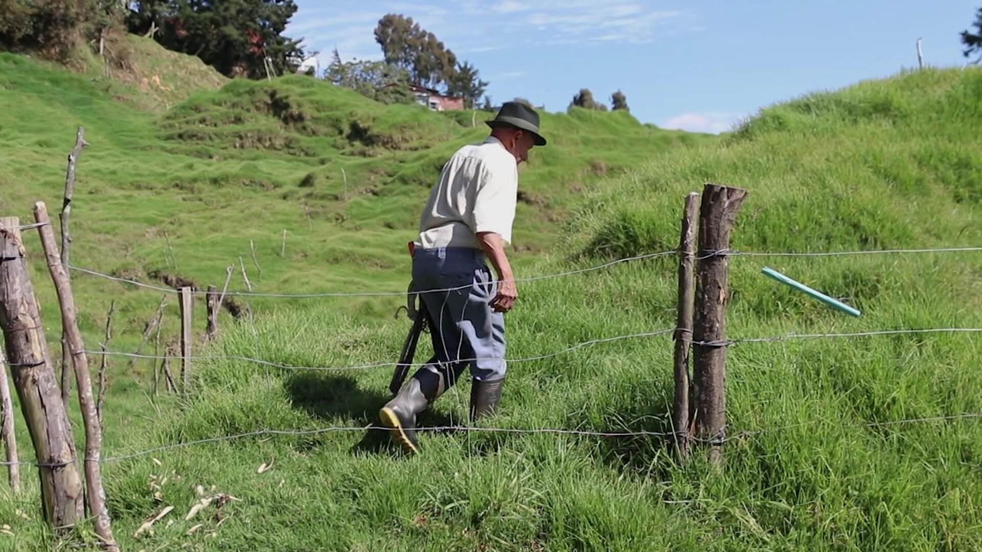 Lecheros buscan mano de obra para labores