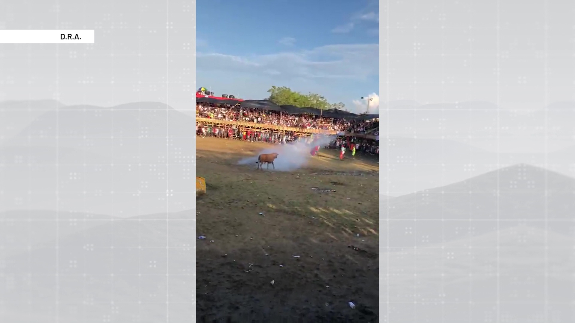 Usan pólvora contra toros en corralejas
