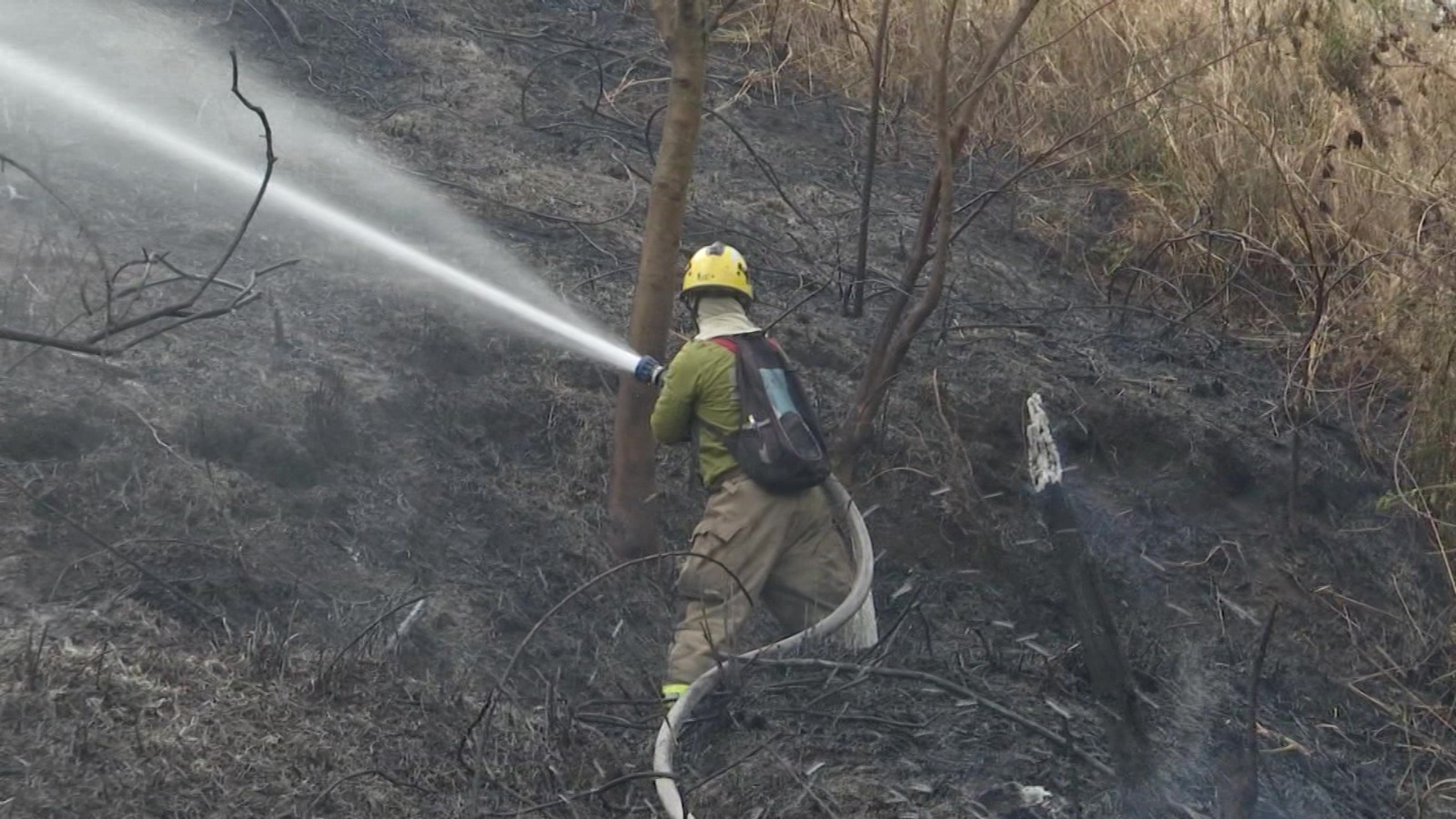 14 municipios en alerta por incendios forestales