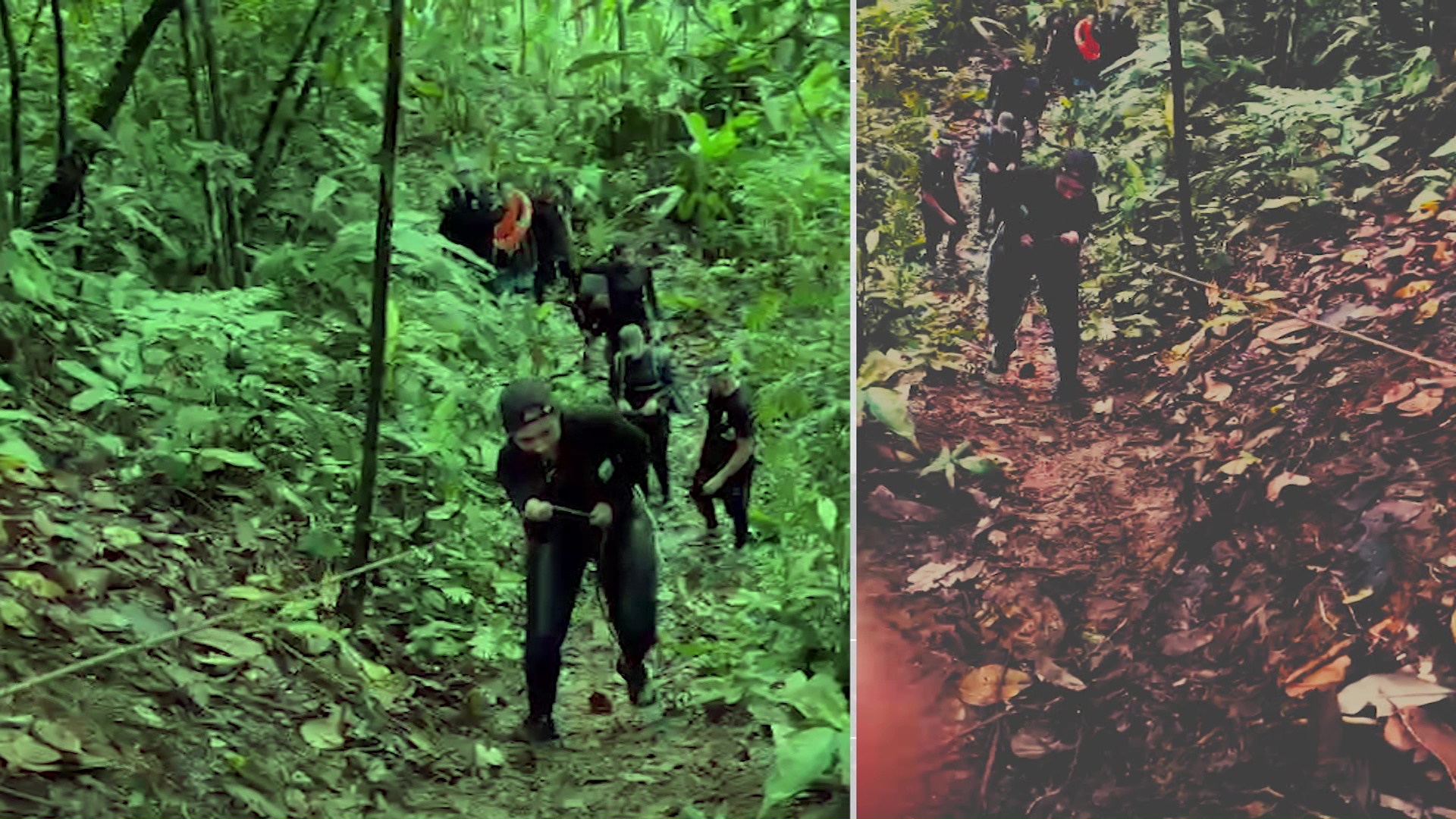 Actividad para conectarse con la naturaleza