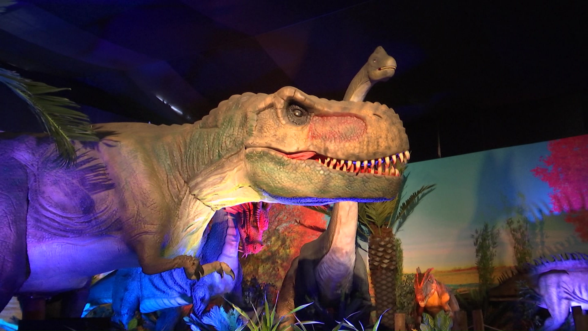 Exposición interactiva ‘dinosaurios y dragones’