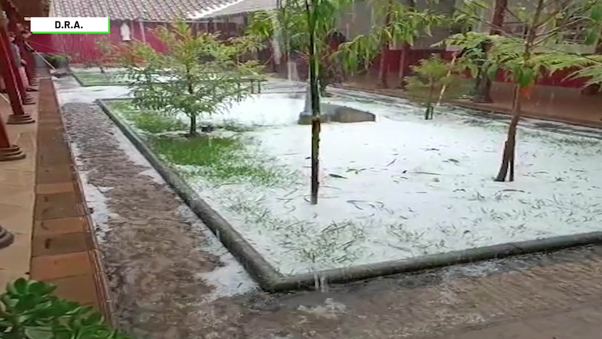 Granizada afectó potreros y cultivos en el Norte antioqueño