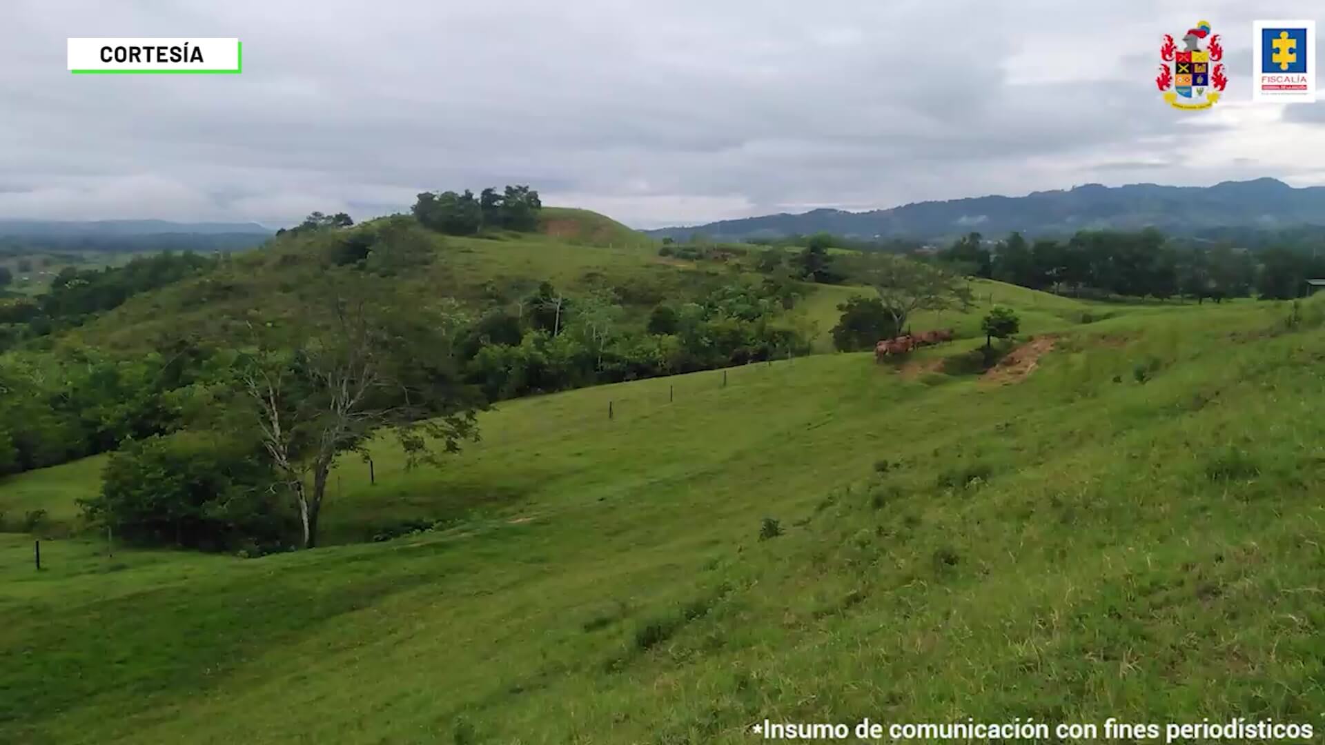 Incautan bienes a excabecilla paramilitar en Bajo Cauca