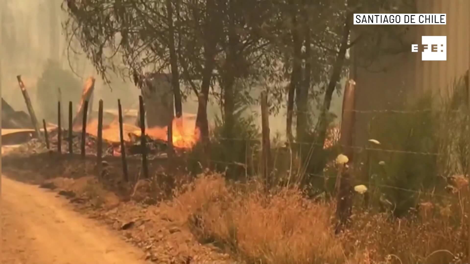 Información Internacional en Teleantioquia Noticias