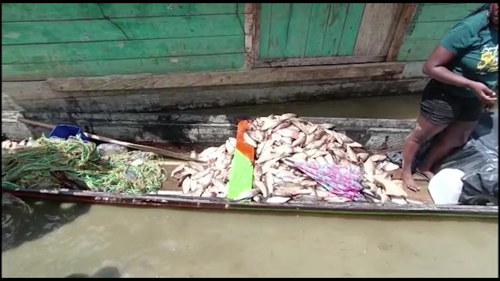 No hay compradores ni donde guardar el pescado