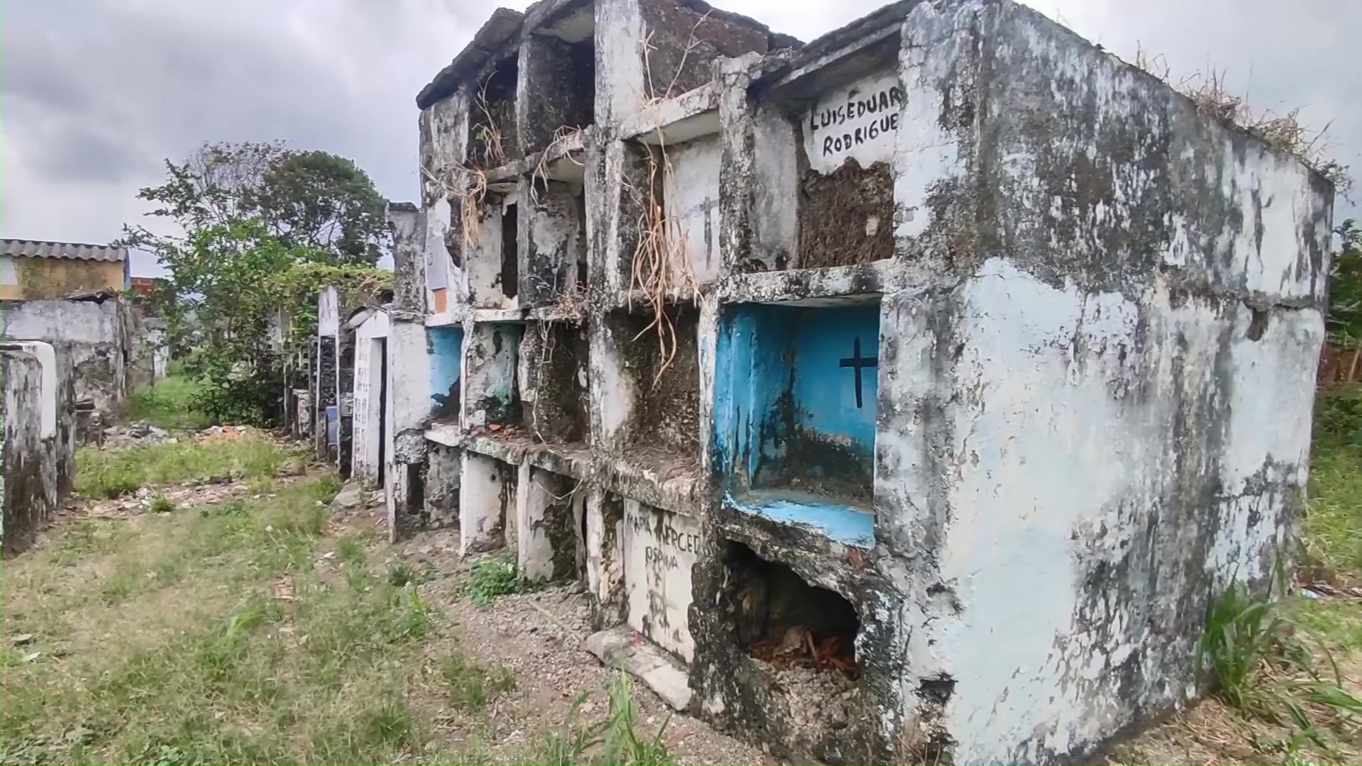 Alertan por profanación de tumbas en cementerio de Currulao