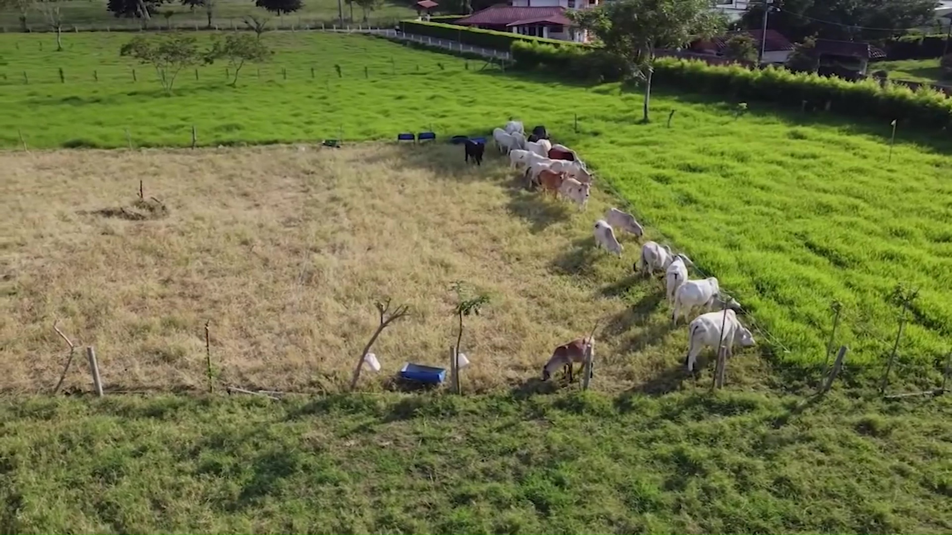 Gobierno explica a ganaderos plan para compra de tierras