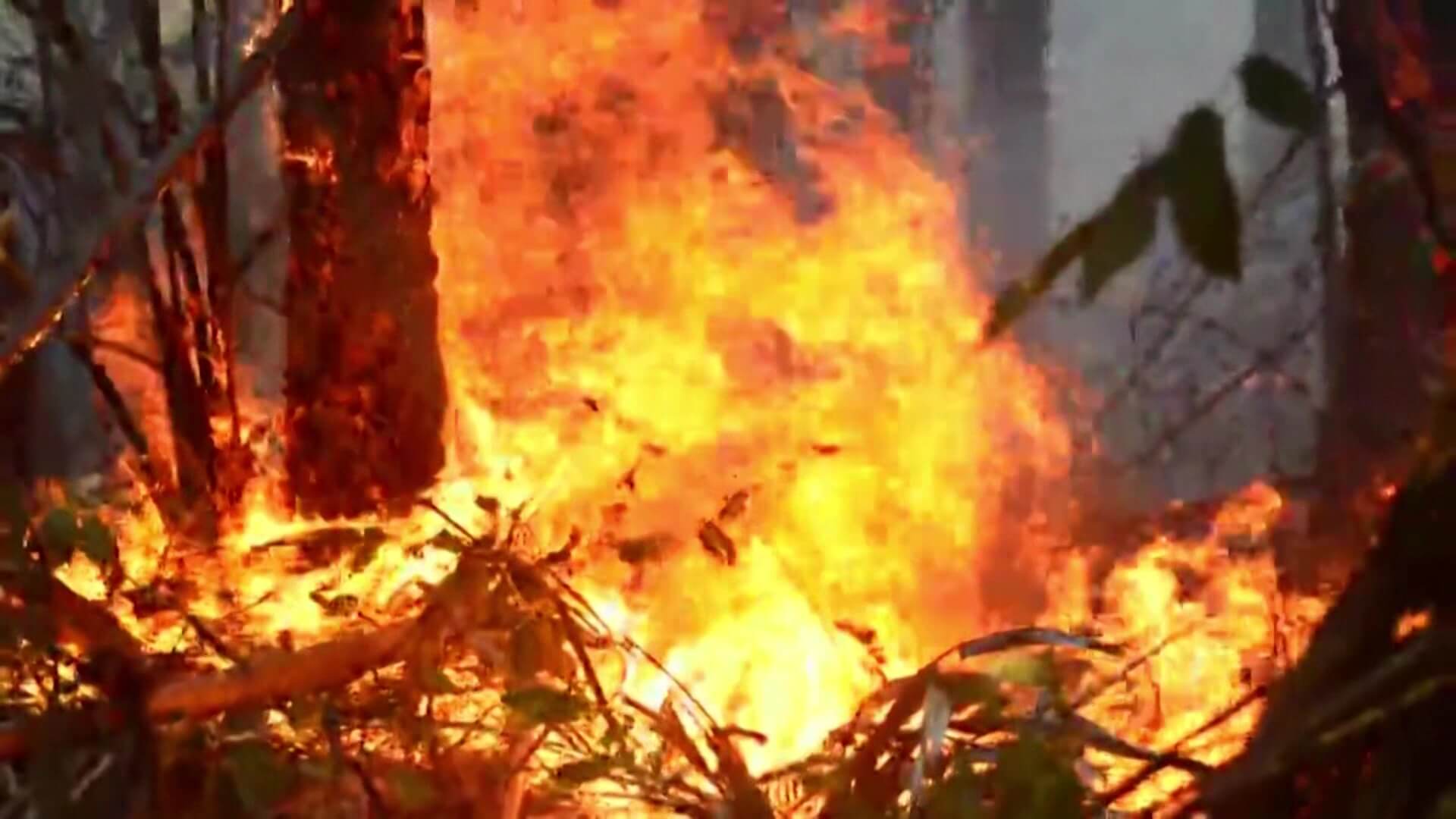 Incendio: apoyo aéreo está ocupado en paro minero