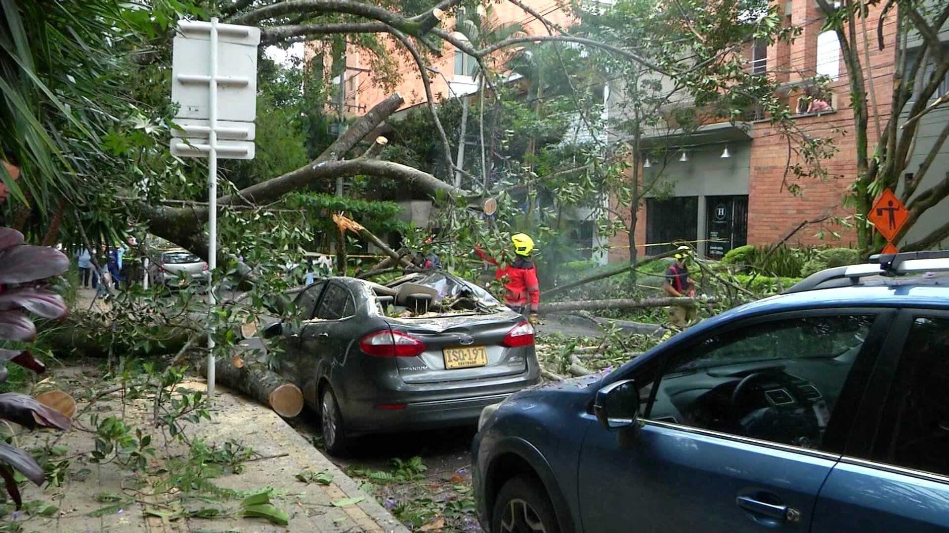 Un herido y tres carros dañados por caída de árbol