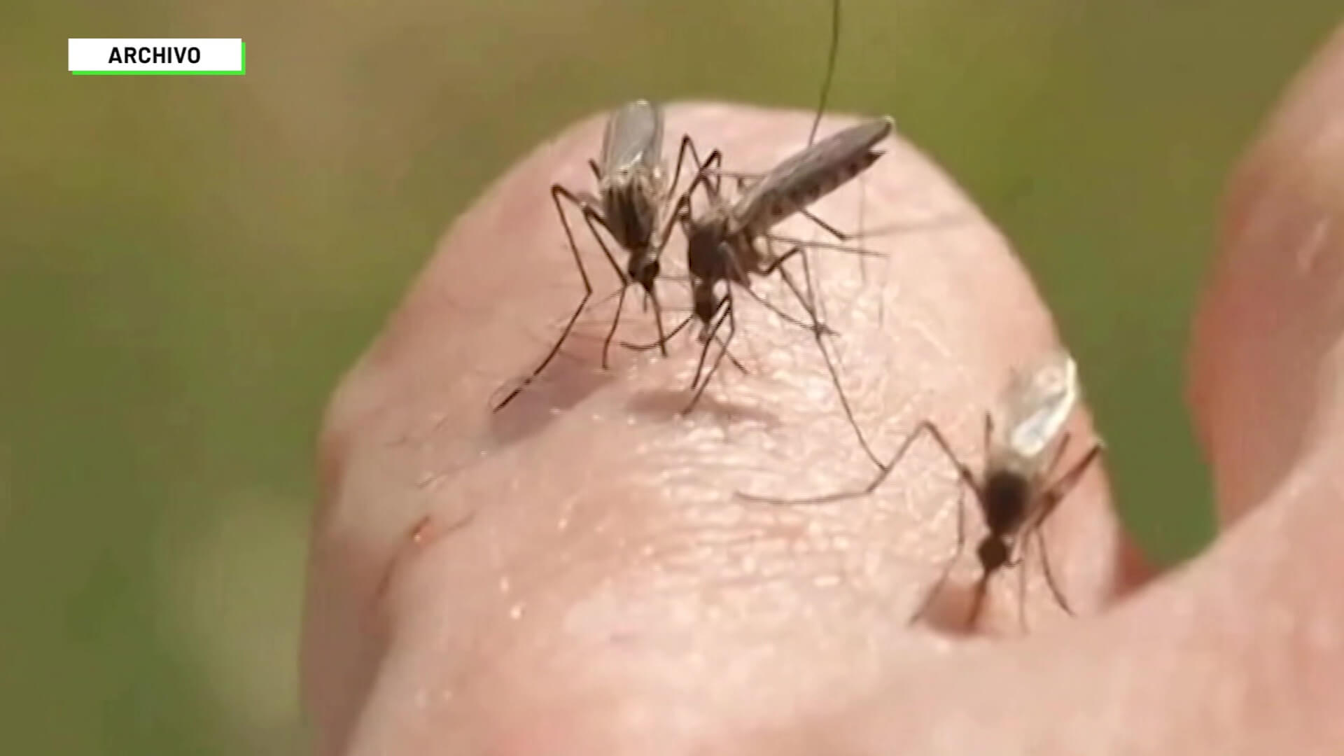 Colombia en primer trimestre brote de dengue llegó a 81 %