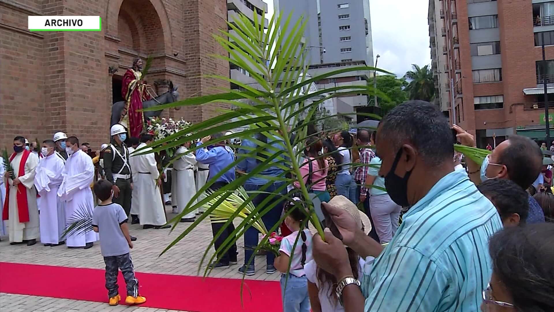 Corantioquia pide no utilizar palma de cera