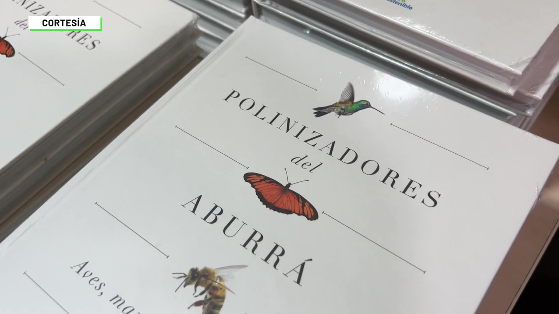 Disponible el libro Polinizadores del Aburrá