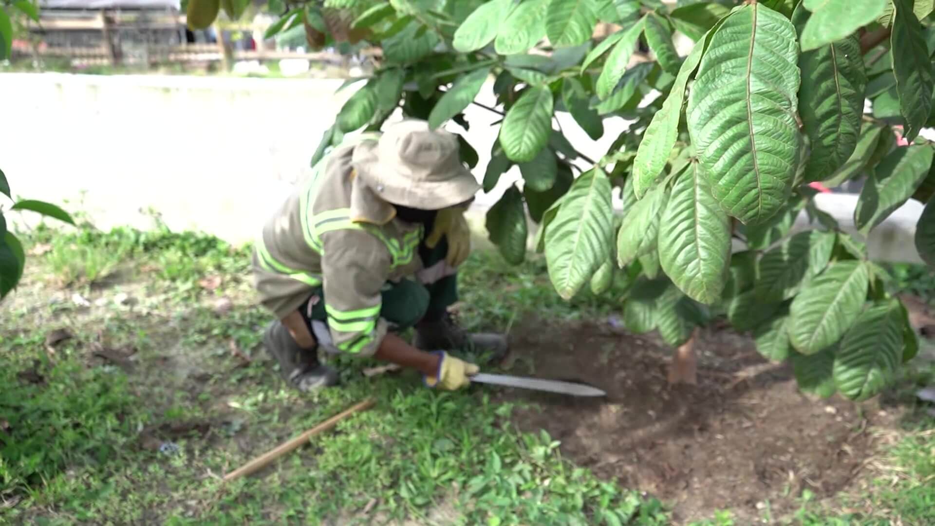 La Verde, la ciudad tiene nueva reserva natural