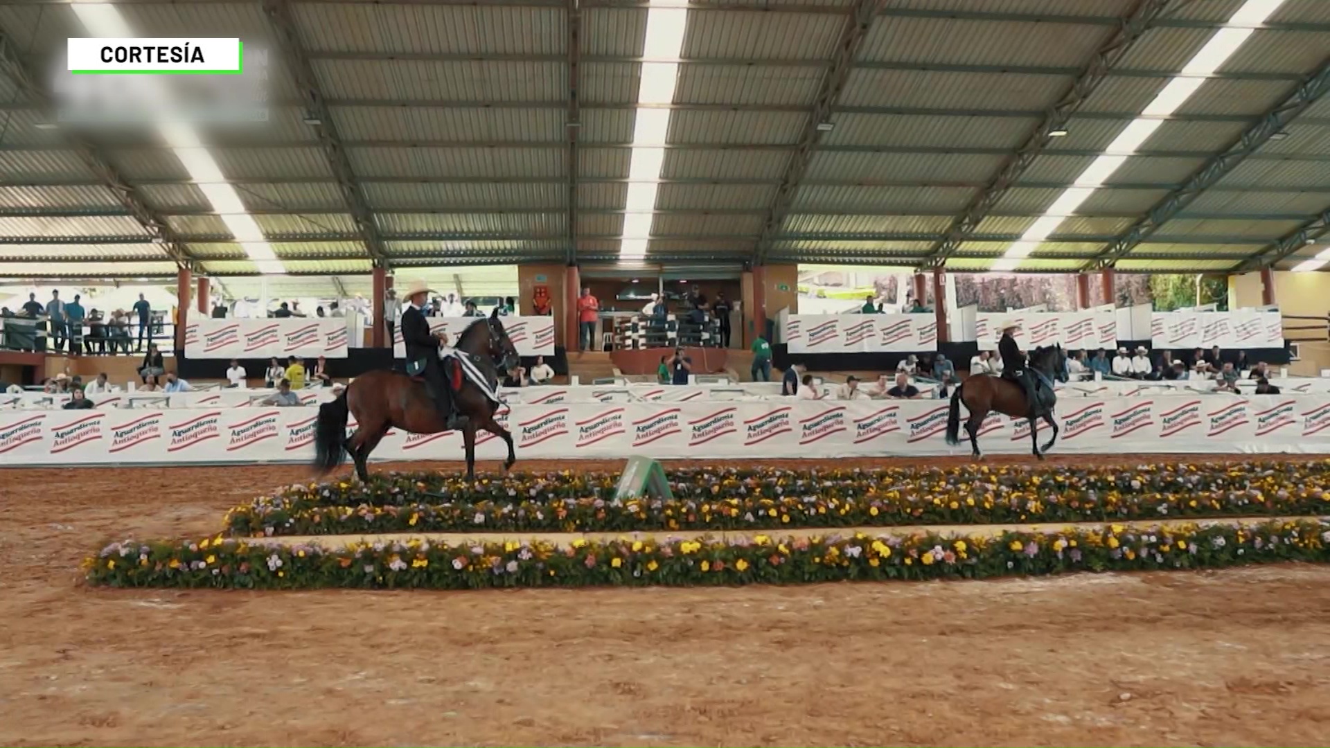 Regresa la feria equina ‘Copa Ciudad de Medellín’