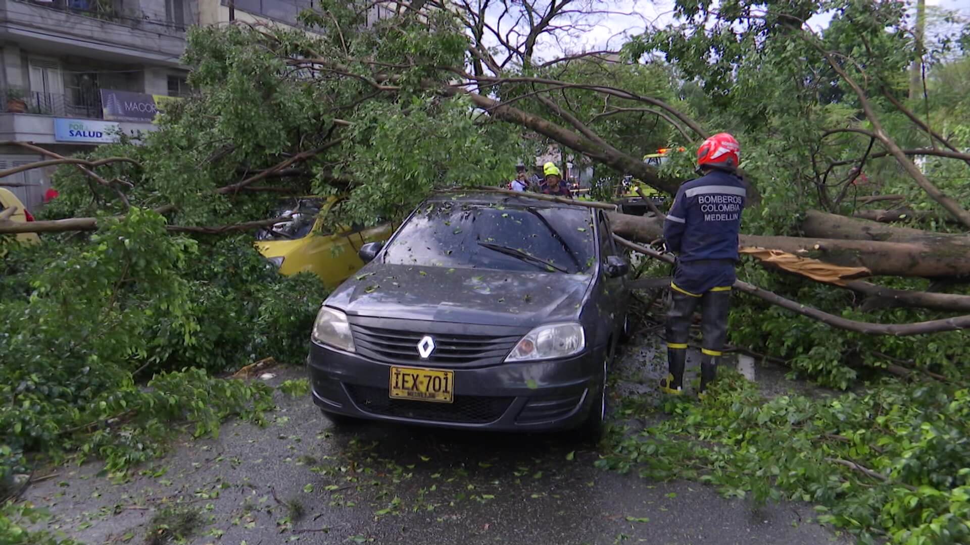 Árboles caídos, carros atrapados y otras emergencias