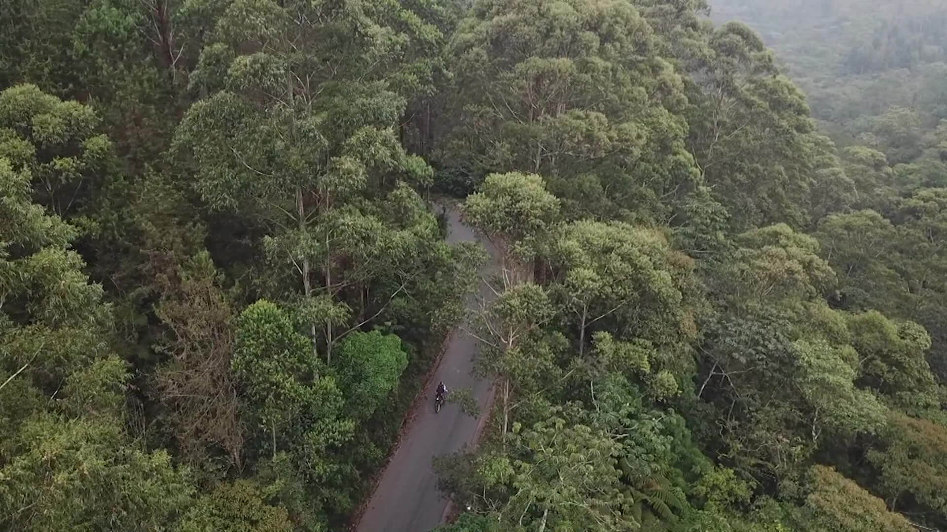 PBOT permitiría uso del suelo en reserva forestal de La Estrella