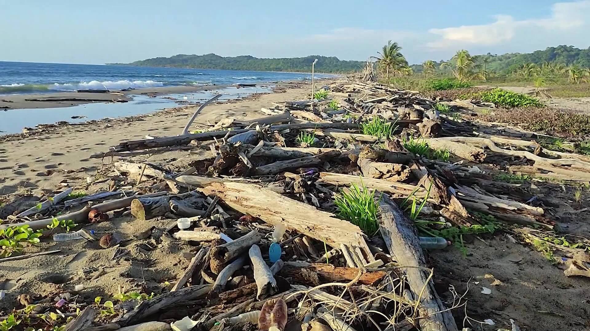 Alerta por daño ambiental en la playa Bobalito